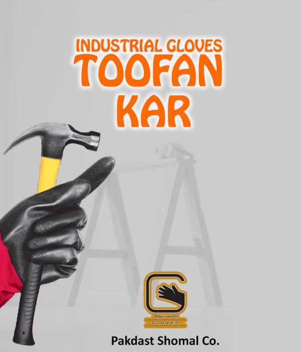 شرکت پاکدست شمال